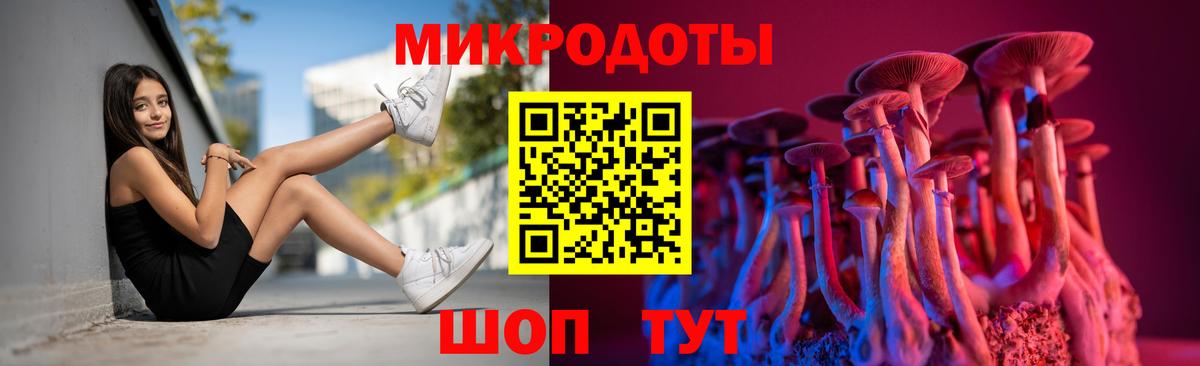 Псилоцибиновые грибы мухоморы Волгоград